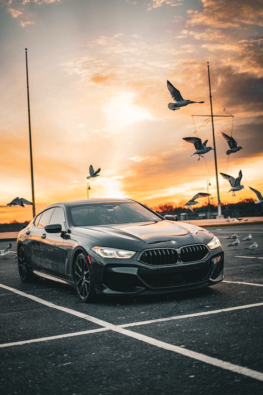 BMW M8 with Birds