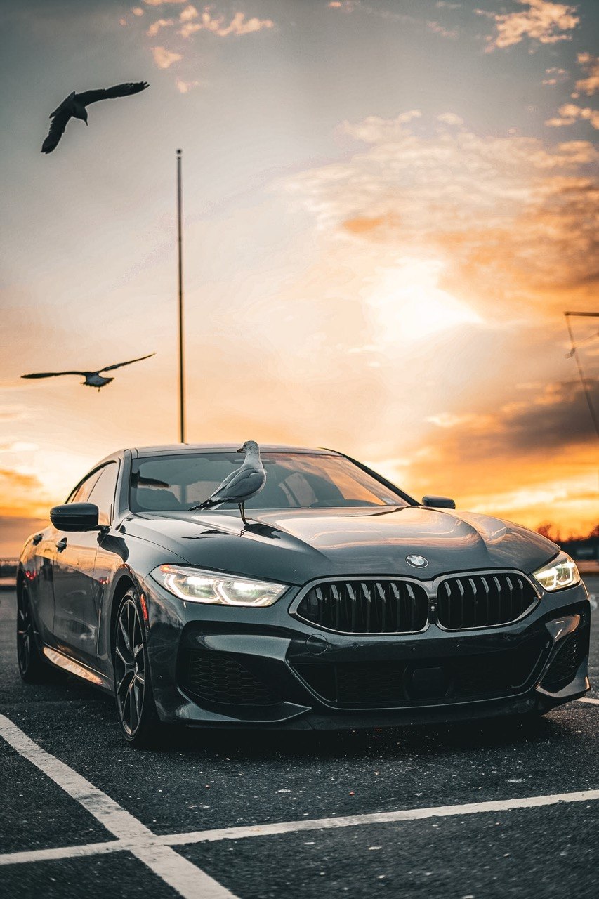 BMW M8 Bird on Hood Headlights On